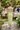 Woman in a green checkered dress walking through a garden with tables and people in the background