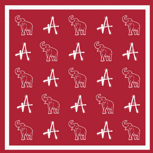 GAME DAY SILKY SCARVES: MORE COLORS