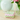 LAURA PARK BRUSHSTROKES GREEN JEWELRY CASE