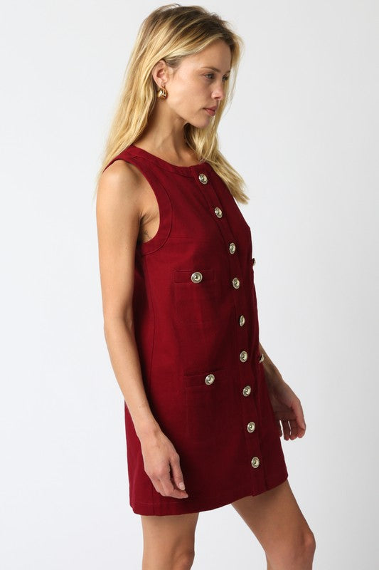 KARINA BUTTON DRESS IN BURGUNDY