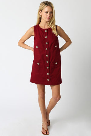 KARINA BUTTON DRESS IN BURGUNDY