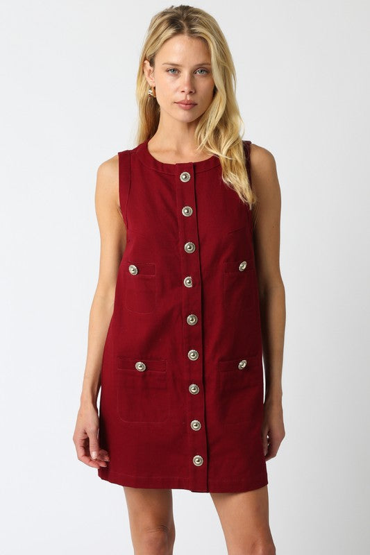 KARINA BUTTON DRESS IN BURGUNDY