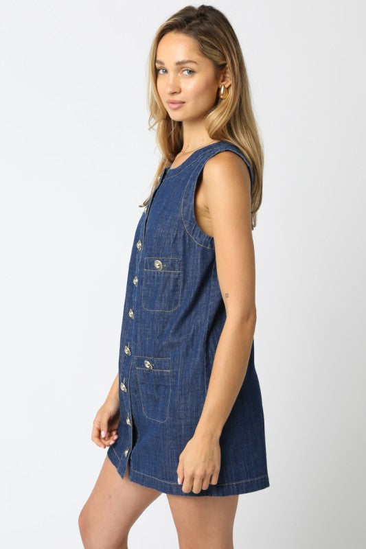 KATRINA BUTTON DENIM DRESS