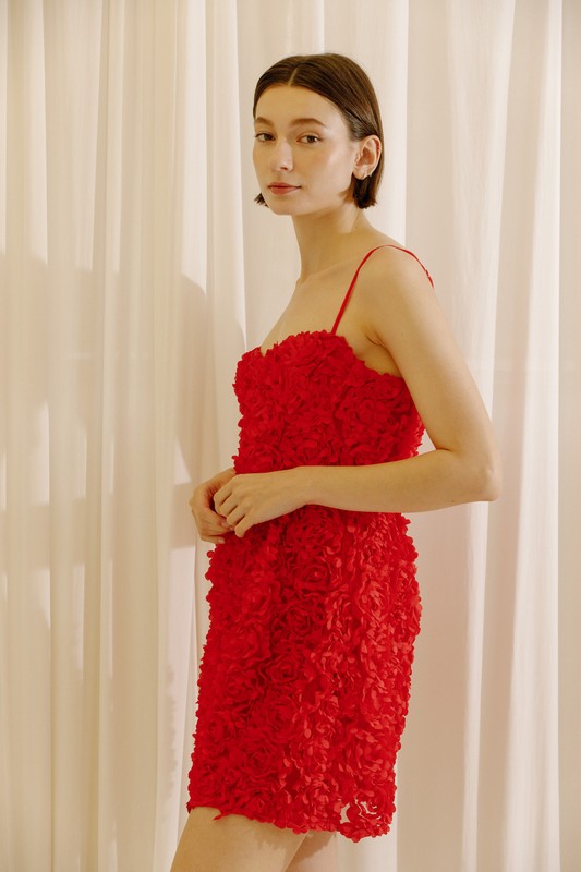 Roman red shop lace dress