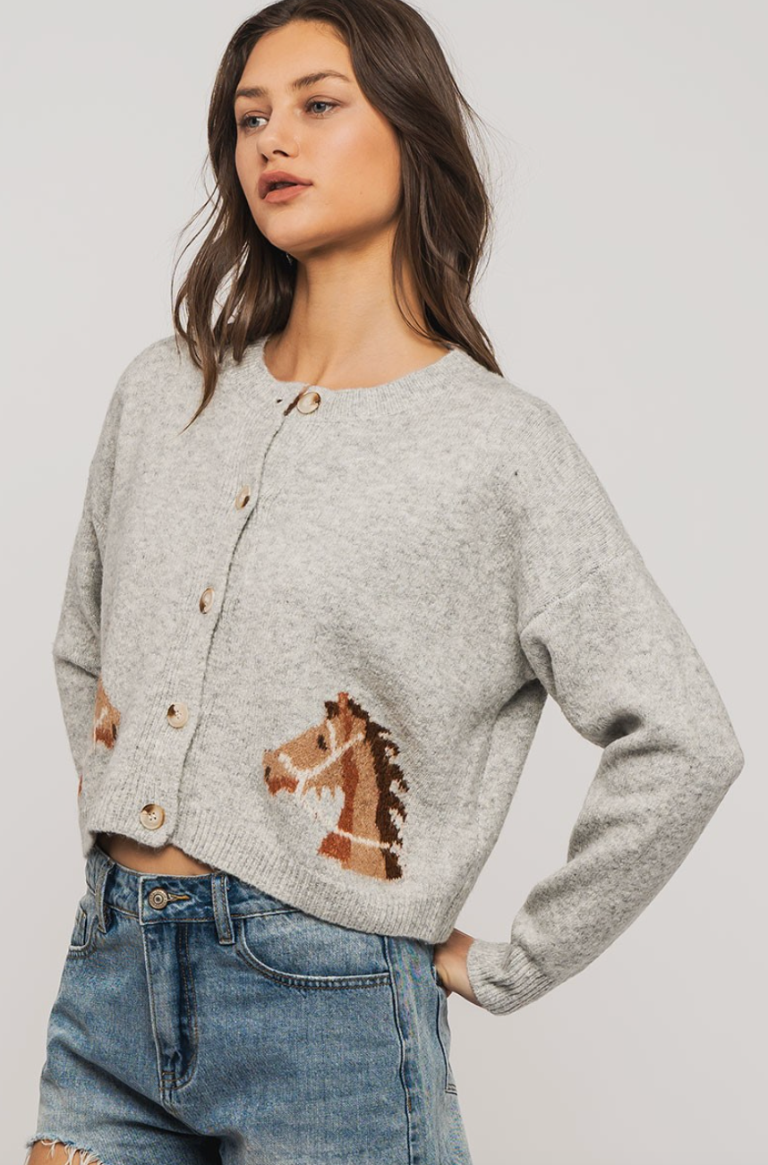 DAKOTA HORSE CARDIGAN IN GRAY